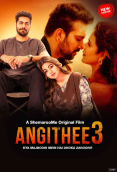 Angithee 3 Full Bollywood Hot Movie
